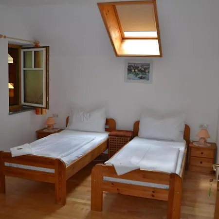 Zauner Гальштат